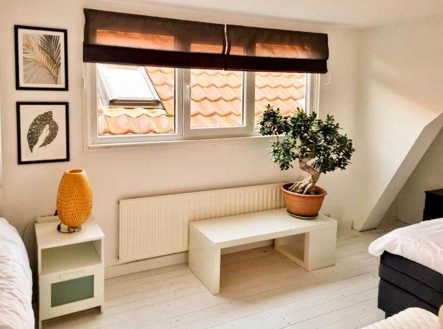 Appartement B&B Pandhouse Oud-Beijerland Zewnętrze zdjęcie